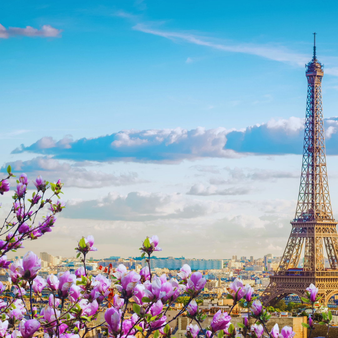 French Fragrances: The Spirit of Elegance