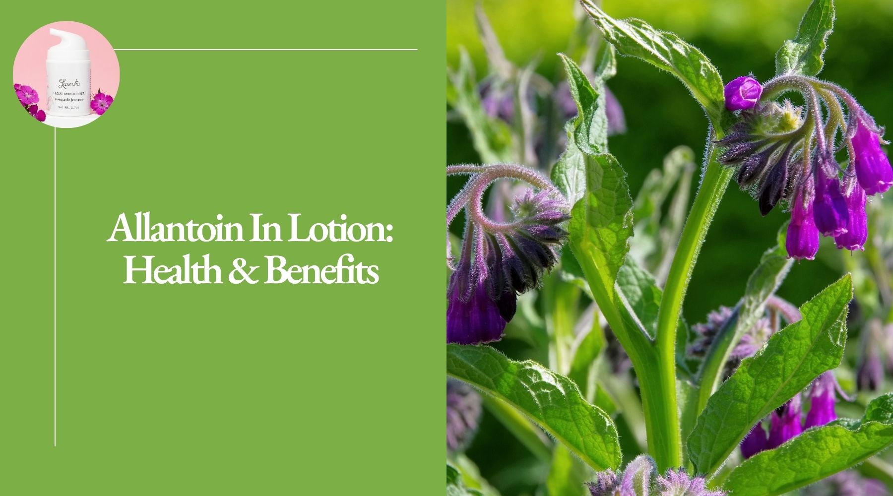allantoin in lotions: benefits and skin health