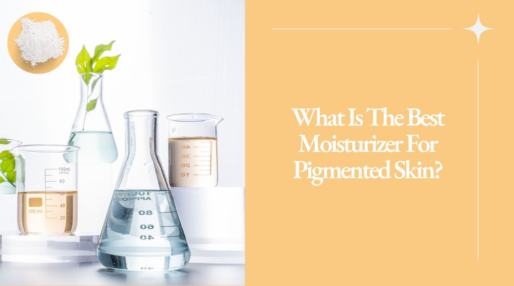what is the best moisturizer for pigmented skin