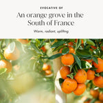 Inspired by Sunlit Orange Groves in the South of France