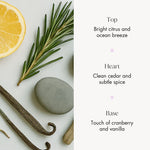 Valiant Perfume Notes – Citrus, Cedar, Spice & Vanilla