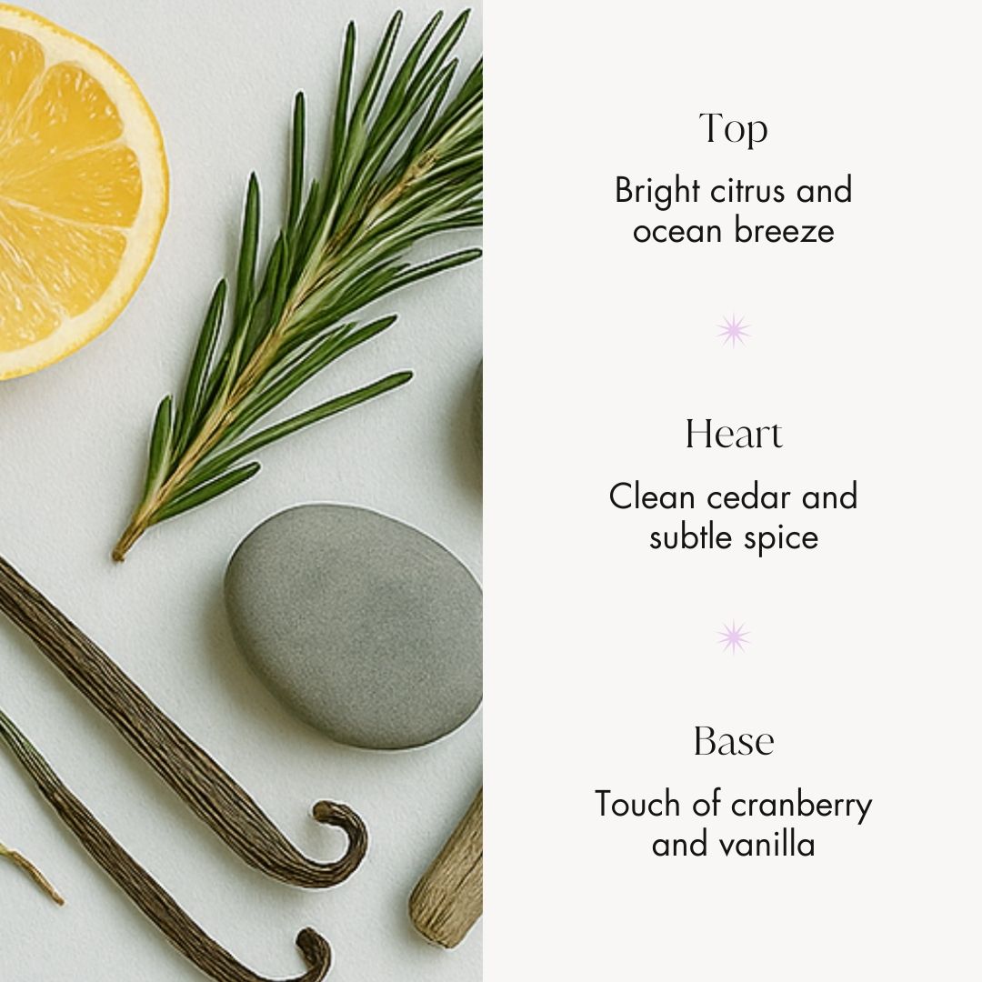 Valiant Perfume Notes – Citrus, Cedar, Spice & Vanilla