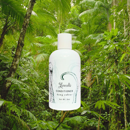 King Cobra conditioner woody notes men